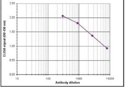 ELISA: Histone H4 [Methyl Lys20] Antibody [NBP2-59247] - To determine the titer, an ELISA was performed using a serial dilution of the antibody against H4K20me1. The antigen used was a peptide containing the histone modification of interest. By plotting the absorbance against the antibody dilution, the titer of the antibody was estimated to be 1:8,000.